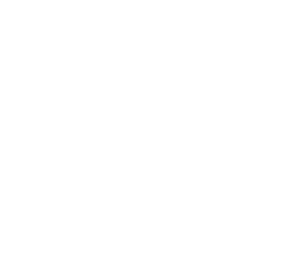 Aarav Pharma Chem